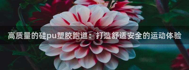 谈球吧平台正规吗可信吗知乎：高质量的硅pu塑胶跑道：打造舒适安全的运动体验