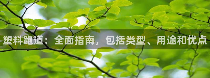 谈球吧电子：塑料跑道：全面指南，包括类型、用途和优点