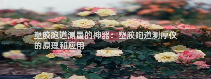 谈球吧能提现不：塑胶跑道测量的神器：塑胶跑道测厚仪
的原理和应用