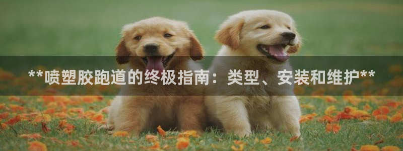 谈球吧体育首页综合登陆：**喷塑胶跑道的终极指南：类型、安装和维护**