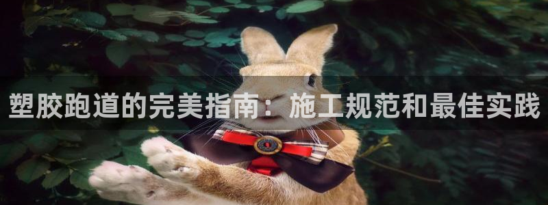 谈球吧体育app登陆不上：塑胶跑道的完美指南：施工规范和最佳实践