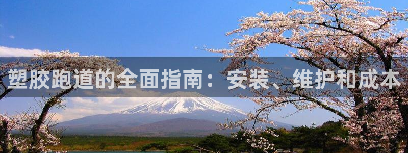 谈球吧属于哪个旗下：塑胶跑道的全面指南：安装、维护和成本