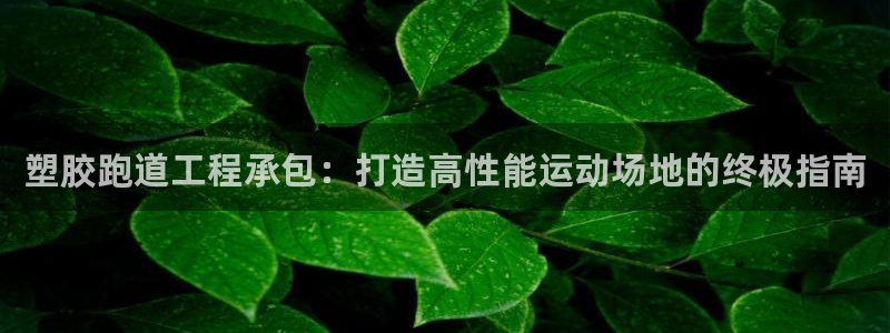 谈球吧怎么样：塑胶跑道工程承包：打造高性能运动场地的终极指南
