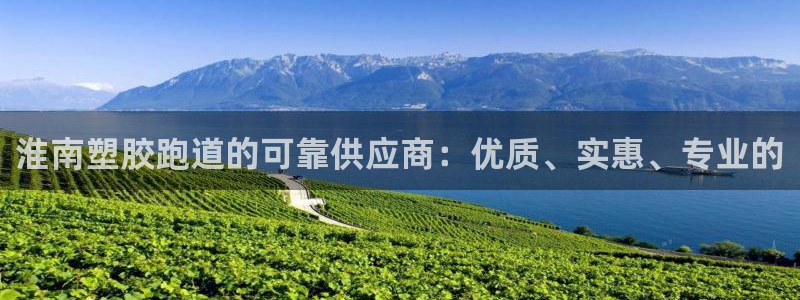 谈球吧体育app下载足球：淮南塑胶跑道的可靠供应商：优质、实惠、专业的