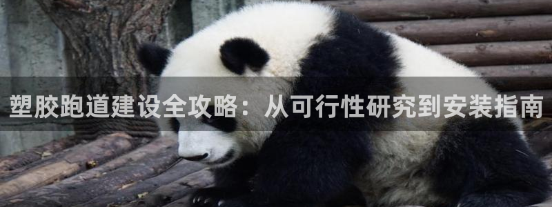 谈球吧app下载