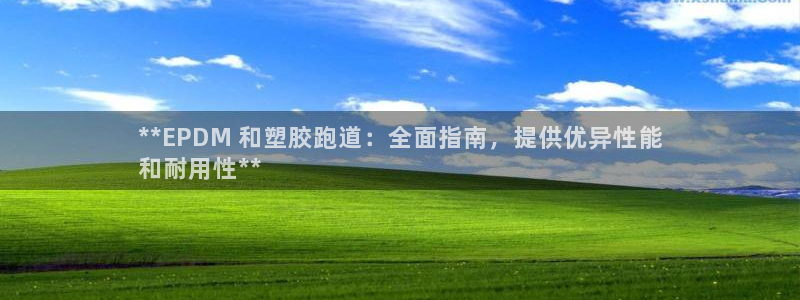 谈球吧的聊天软件叫什么名字：**EPDM 和塑胶跑道