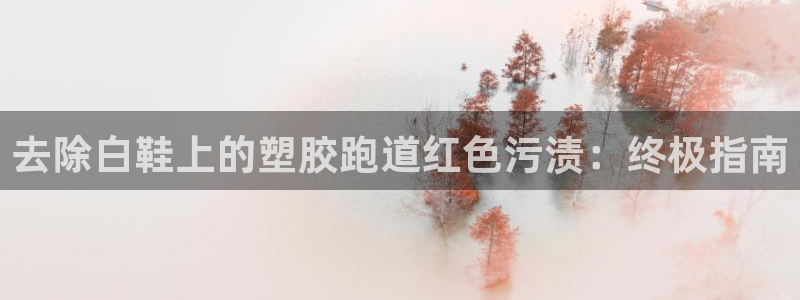 谈球吧体育app下载官网苹果：去除白鞋上的塑胶跑道红色污渍：终极指南