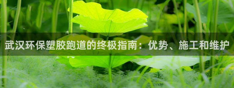 谈球吧体育app下载足球直播软件：武汉环保塑胶跑道的