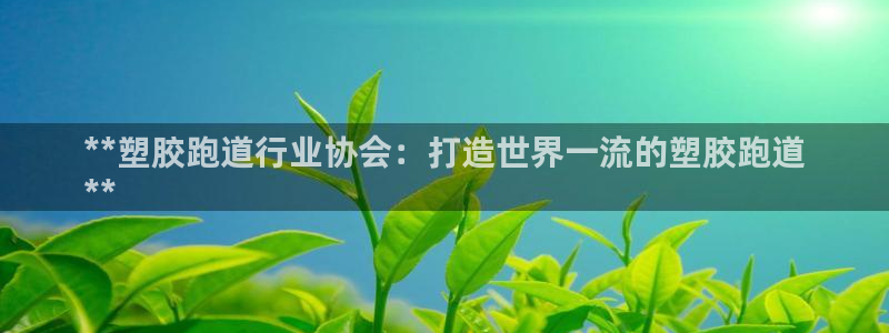 谈球吧打不开了：**塑胶跑道行业协会：打造世界一流的塑胶跑道
**