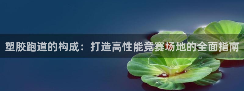 谈球吧是黑台子吗：塑胶跑道的构成：打造高性能竞赛场地的全面指南