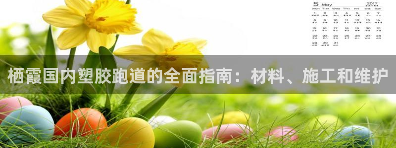 谈球吧APP：栖霞国内塑胶跑道的全面指南：材料、施工和维护