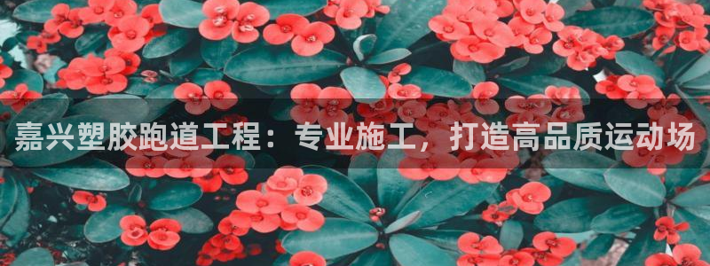 谈球吧是正规平台吗安全吗：嘉兴塑胶跑道工程：专业施工，打造高品质运动场