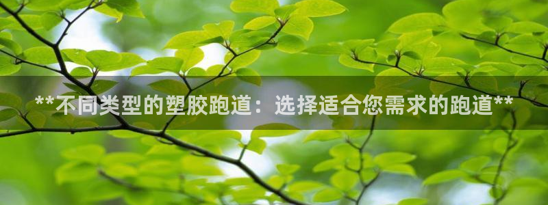 谈球吧平台app：**不同类型的塑胶跑道：选择适合您需求的跑道**