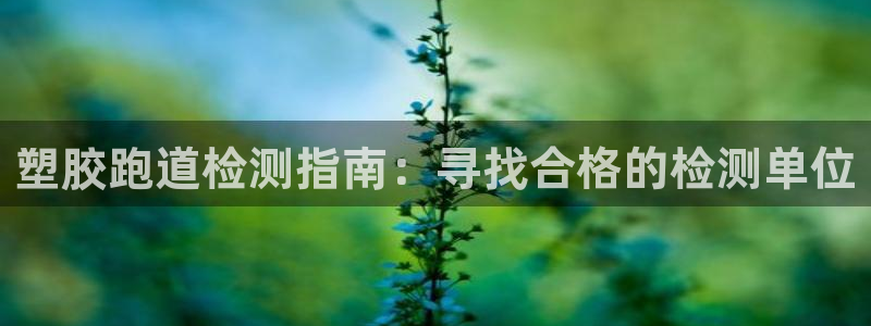 谈球吧体育app下载中心官网：塑胶跑道检测指南：寻找