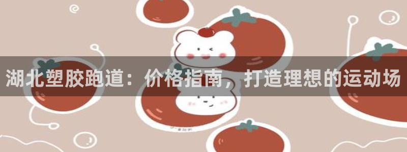谈球吧体育app下载中心：湖北塑胶跑道：价格指南，打造理想的运动场