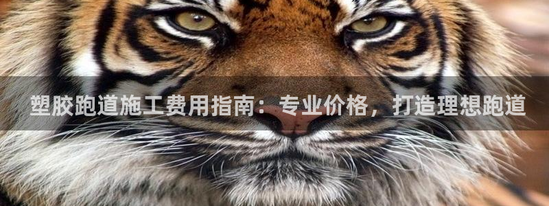 谈球吧网址： 塑胶跑道施工费用指南：专业价格，打造理