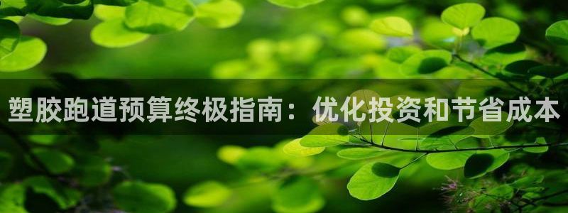 谈球吧全站app下载：塑胶跑道预算终极指南：优化投资