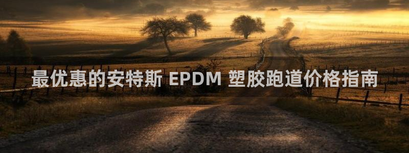 谈球吧官网在线入口：最优惠的安特斯 EPDM 塑胶跑道价格指南