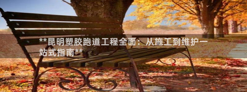 谈球吧中国：**昆明塑胶跑道工程全面：从施工到维护一
站式指南**