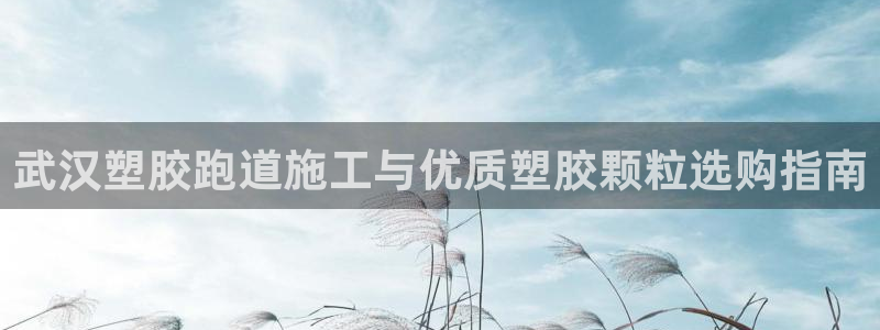 谈球吧官网在线入口免费观看视频
