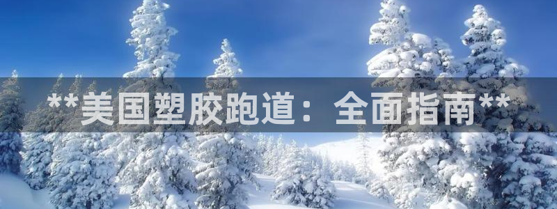 谈球吧app官网下载：**美国塑胶跑道：全面指南**