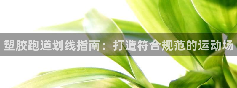 谈球吧体育app下载中心官方网站：塑胶跑道划线指南：打造符合规范的运动场