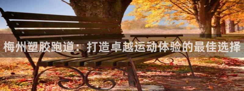 谈球吧下载地址：梅州塑胶跑道：打造卓越运动体验的最佳选择