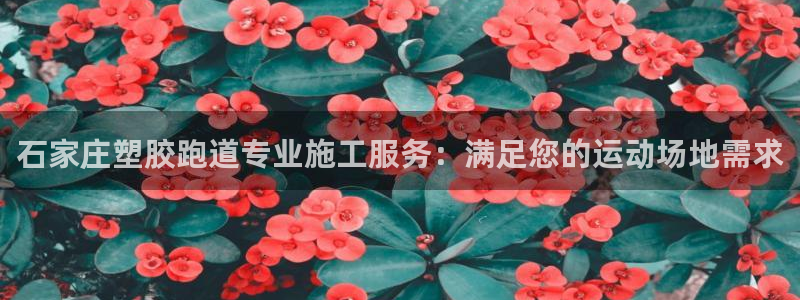 谈球吧是否诈骗：石家庄塑胶跑道专业施工服务：满足您的运动场地需求