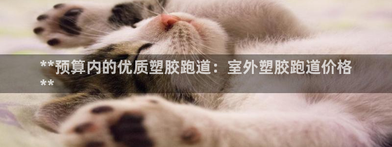 谈球吧官网入口在线观看：**预算内的优质塑胶跑道：室外塑胶跑道价格
**