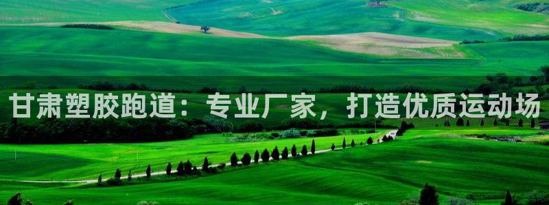 谈球吧娱乐app下载官网苹果：甘肃塑胶跑道：专业厂家，打造优质运动场