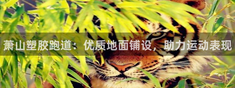 谈球吧不出款：萧山塑胶跑道：优质地面铺设，助力运动表现
