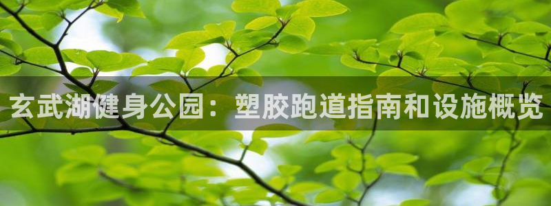 谈球吧能提现不：玄武湖健身公园：塑胶跑道指南和设施概