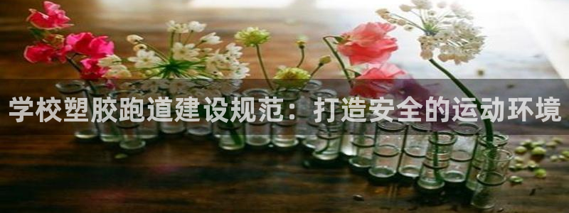 谈球吧登录地址：学校塑胶跑道建设规范：打造安全的运动环境