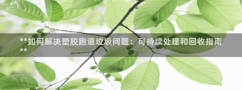 谈球吧首页：**如何解决塑胶跑道垃圾问题：可持续处理和回收指南
**