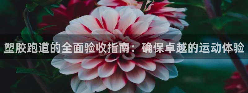谈球吧靠谱吗：塑胶跑道的全面验收指南：确保卓越的运动体验