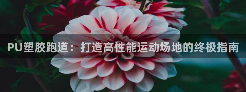 谈球吧体育app下载官网手机版安装：PU塑胶跑道：打造高性能运动场地的终极指南