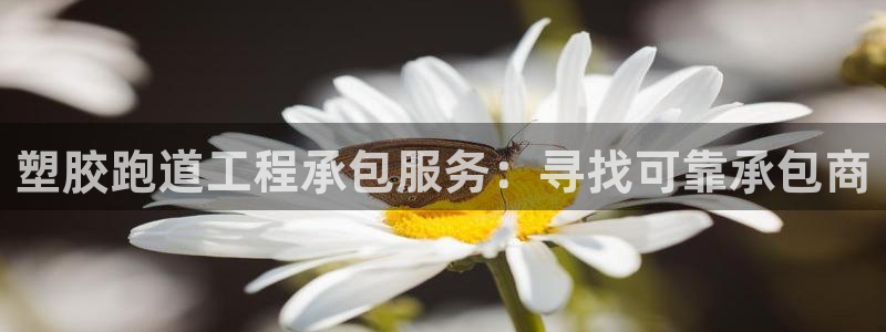 谈球吧体育app下载中心在哪找：塑胶跑道工程承包服务：寻找可靠承包商
