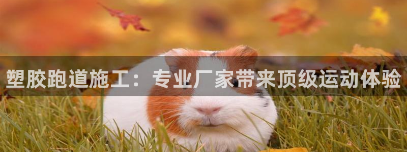 谈球吧平台app下载网址是什么：塑胶跑道施工：专业厂家带来顶级运动体验