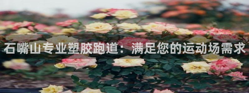 谈球吧-体育赛事：石嘴山专业塑胶跑道：满足您的运动场需求
