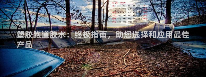谈球吧平台正规吗可信吗：塑胶跑道胶水：终极指南，助您选择和应用最佳
产品