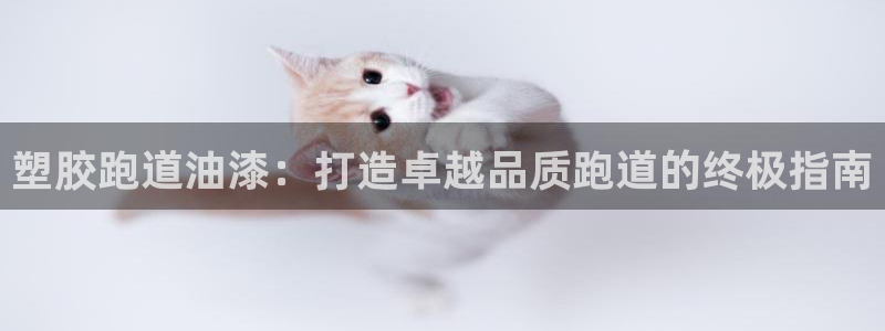 谈球吧不出款：塑胶跑道油漆：打造卓越品质跑道的终极指南