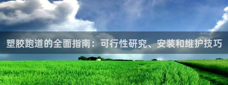谈球吧在线观看：塑胶跑道的全面指南：可行性研究、安装和维护技巧