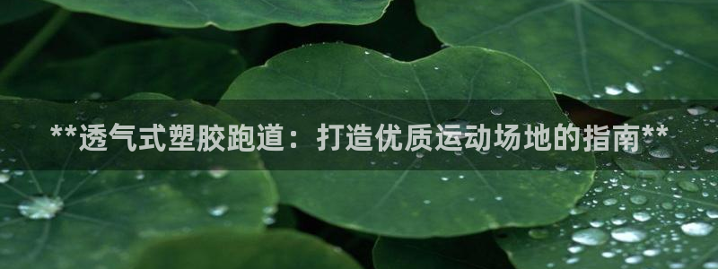 谈球吧是黑台子吗：**透气式塑胶跑道：打造优质运动场