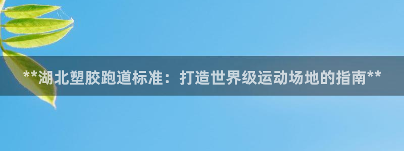 谈球吧体育：**湖北塑胶跑道标准：打造世界级运动场地的指南**