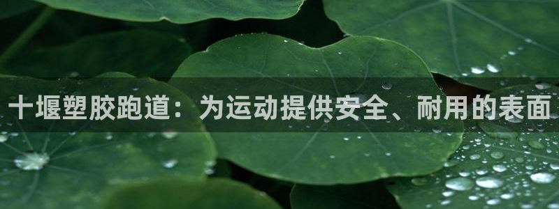 谈球吧官网在线入口：十堰塑胶跑道：为运动提供安全、耐用的表面