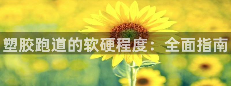 谈球吧平台正规吗可信吗：塑胶跑道的软硬程度：全面指南