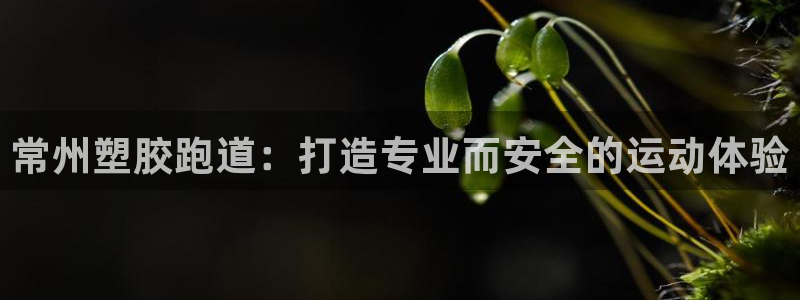 谈球吧咋样：常州塑胶跑道：打造专业而安全的运动体验