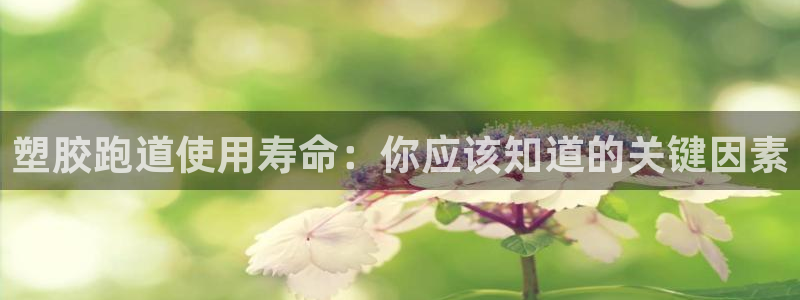 谈球吧官网在线入口免费观看视频：塑胶跑道使用寿命：你应该知道的关键因素