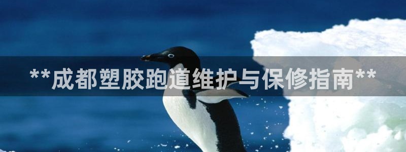谈球吧官网登录：**成都塑胶跑道维护与保修指南**