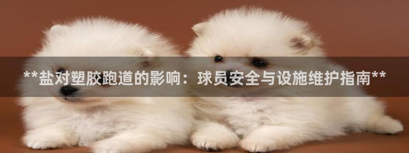 谈球吧能提现不：**盐对塑胶跑道的影响：球员安全与设施维护指南**